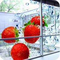 Digital Printing