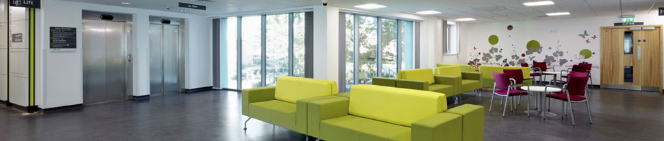 Window Film and Graphics