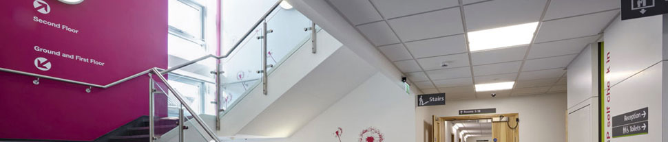 Window Film and Graphics