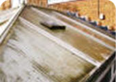Conservatory Roof Cleaning