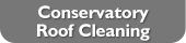 Conservatory Roof Cleaning